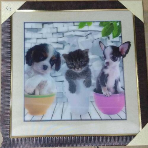 18*18 FRAME 5D
